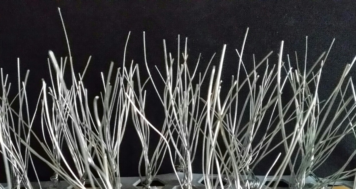 ゆらチク君シリーズ　電気メーターのハトが来る