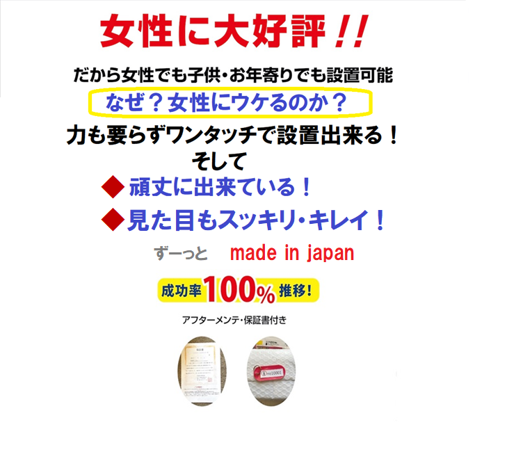 鳩対策-ネット 人気 女