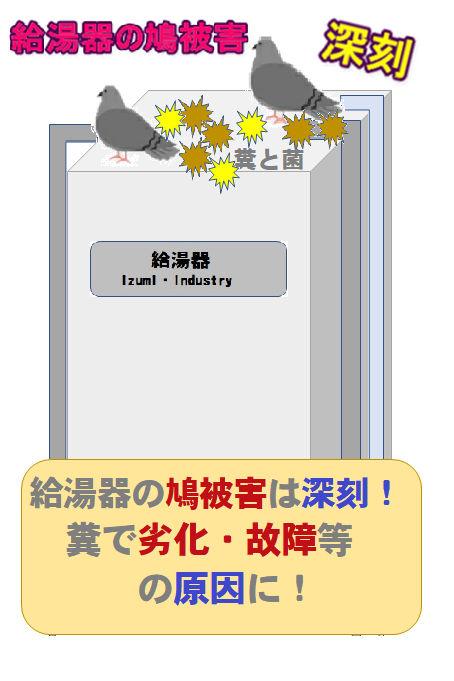 給湯器の鳩被害